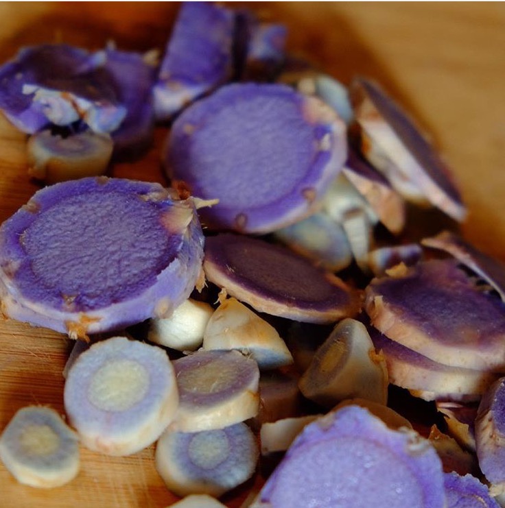 Black Turmeric Magic Empress Roots