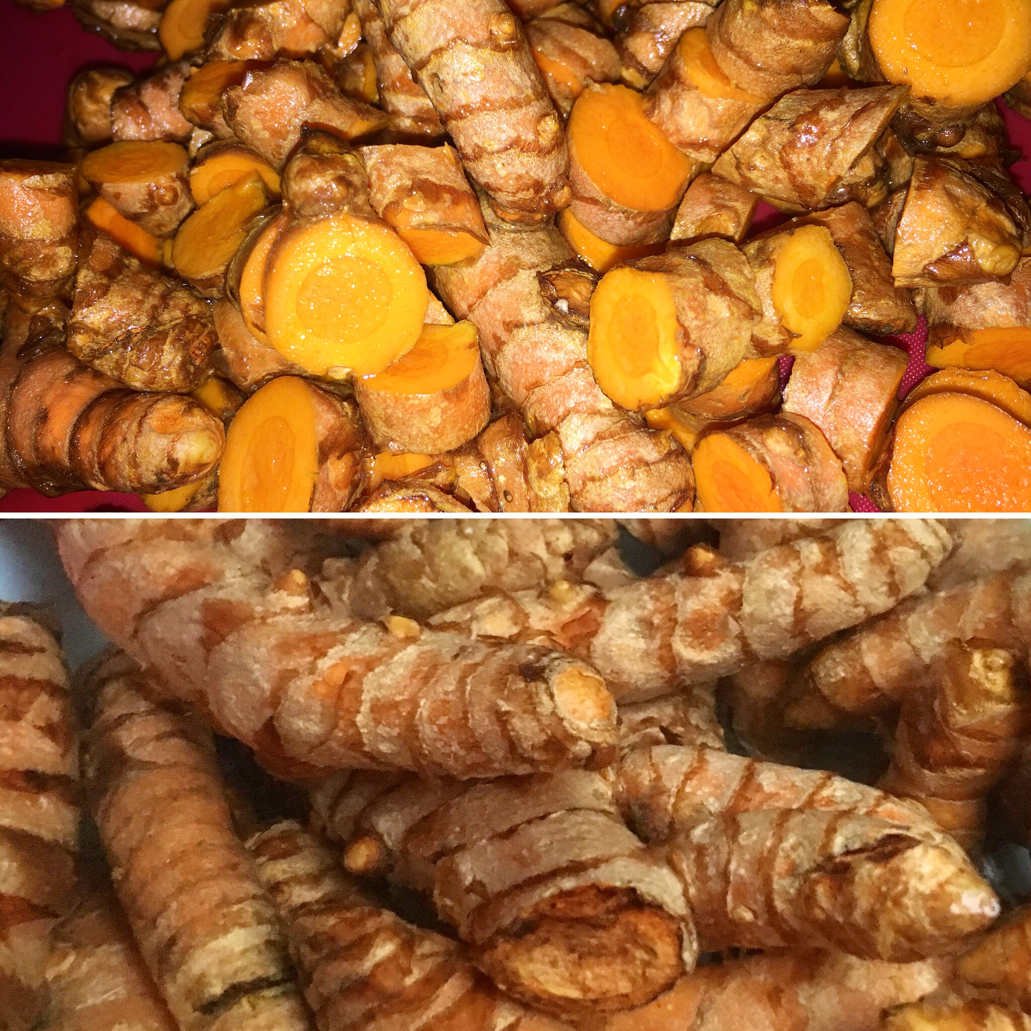 Jamaican Turmeric Root Powers Empress Roots